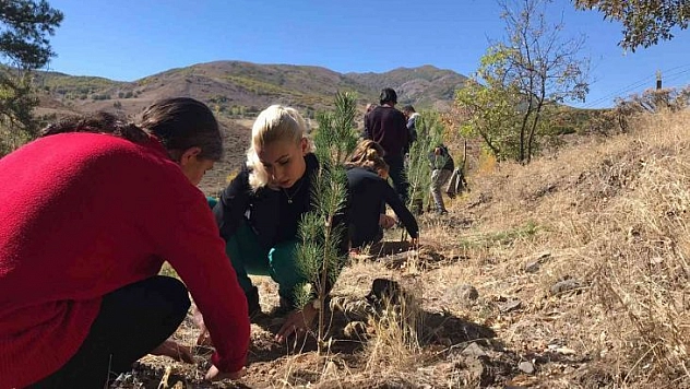 Tunceli'de Tenzile Erdoğan anısına fidan dikildi