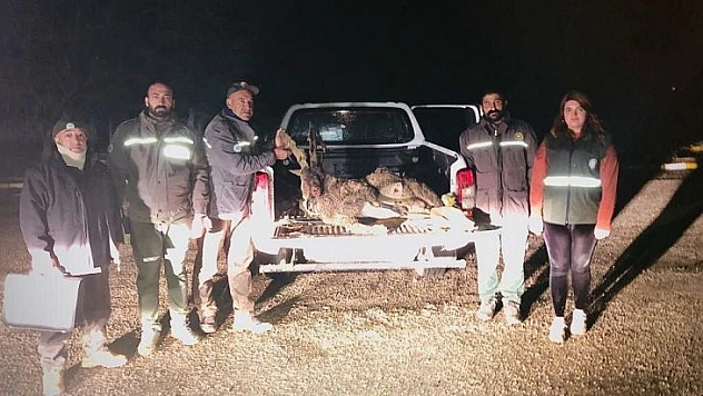 Tunceli'de yaban keçisi avlayan 2 kişiye 126 bin lira ceza