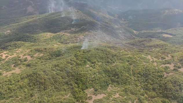 Tunceli'deki örtü yangını kontrol altına alındı