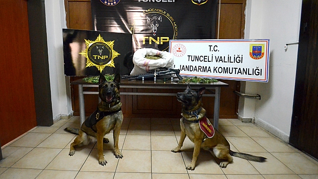 Tunceli merkezli 3 ilde uyuşturucu operasyonu: 23 kilo esrar ele geçirildi