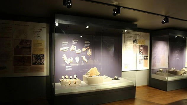 Tunceli müzesi Avrupa Müze Ödülü'ne talip