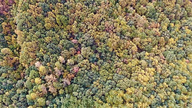 Tunceli sonbaharda görsel şölen sunuyor