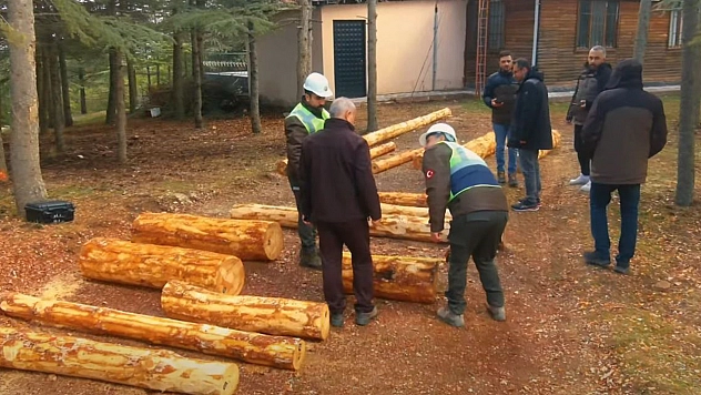 Türkiye ormancılık yarışmaları Elazığ'da düzenlendi
