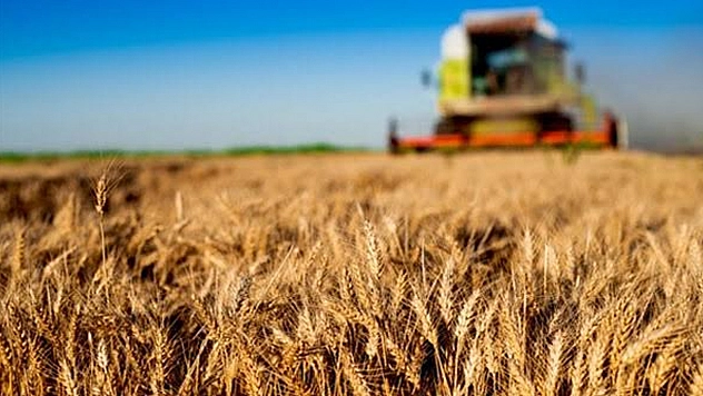 Türkiye tarımsal hasılada Avrupa'da zirvede