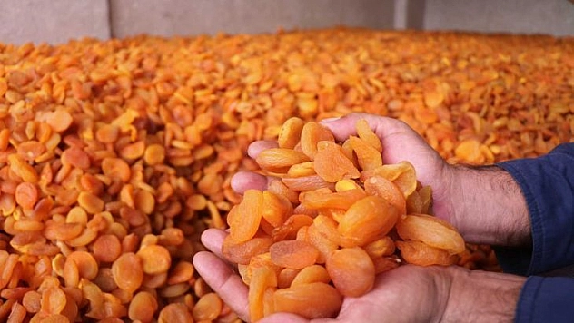 Ünü sınırları aştı, fiyatı rekor kırdı