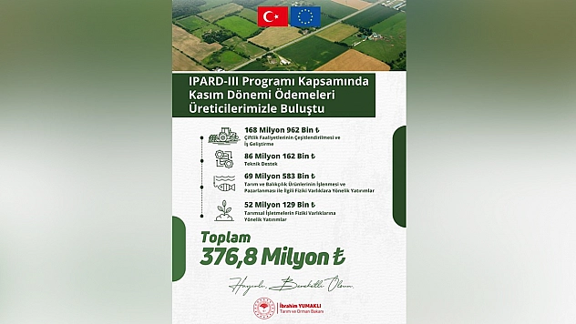 Üreticilere 376,8 Milyon TL destek ödemesi