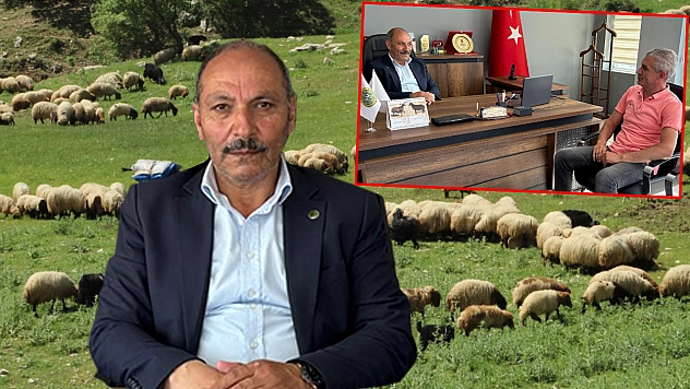 Üreticilerin mera sorunu