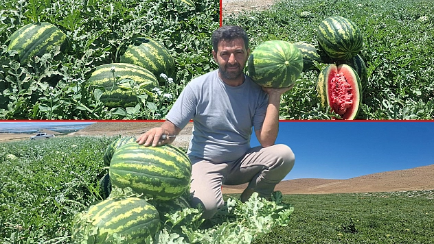 Üreticiye bir de karpuz darbesi