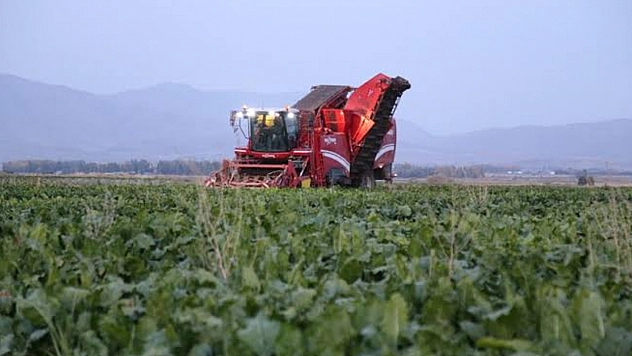 Üreticiye müjde! 991 milyon TL'lik dev destek