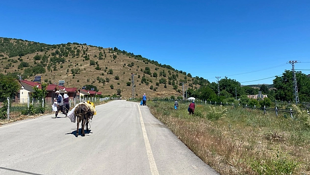 Vali Hatipoğlu'ndan Maden'de örnek çevre temizliğine övgü