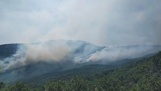Valilikten yangına ilişkin açıklama