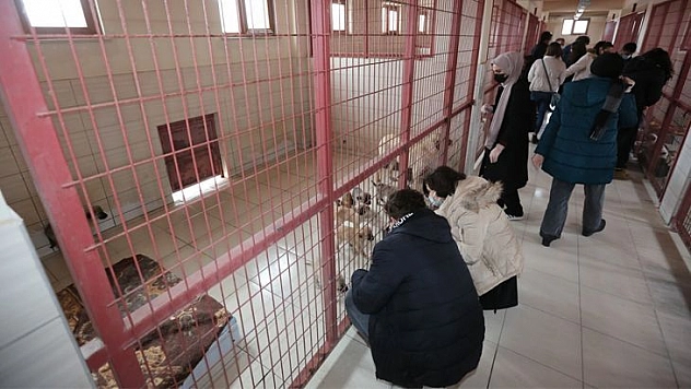 Veteriner Fakültesi Öğrencilerinden Elazığ Belediyesi Hayvan Hastanesi'ne Ziyaret