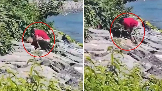 Vicdanları yaralayan görüntü: Köpeğe şiddet anı kaydedildi