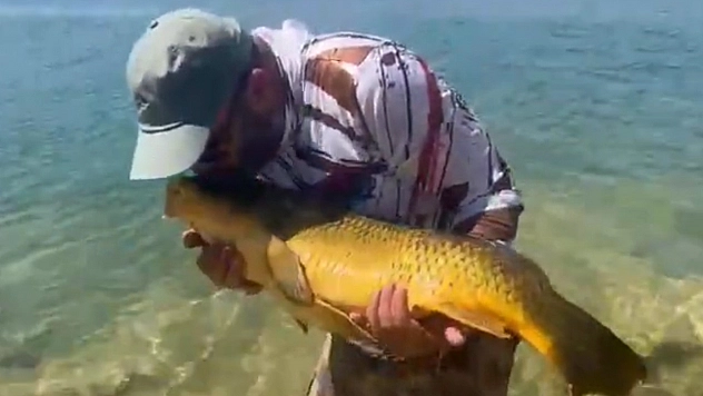 Yakaladığı 15 kiloluk dev sazan balığını popülasyonu korumak için öperek tekrar suya bıraktı