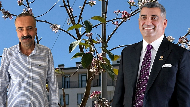 Yalancı bahar ne anlatıyor?