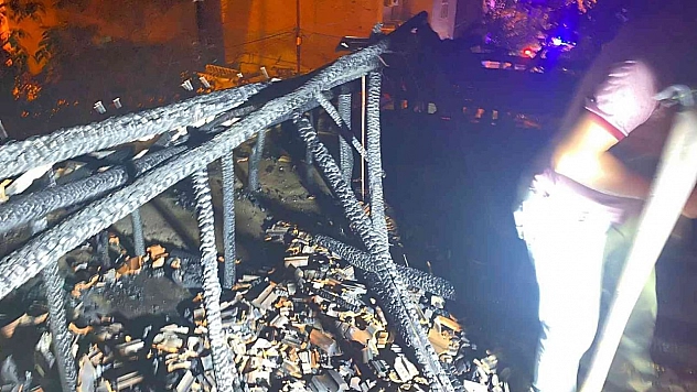 Yangında üç hayvan telef oldu