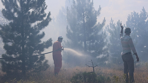 Yangınların Suçlusu Kim?