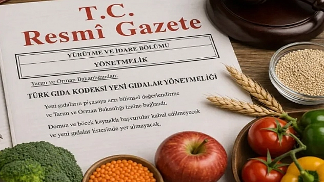 Yeni Gıdalar Yönetmeliği Resmi Gazete'de yayımlandı