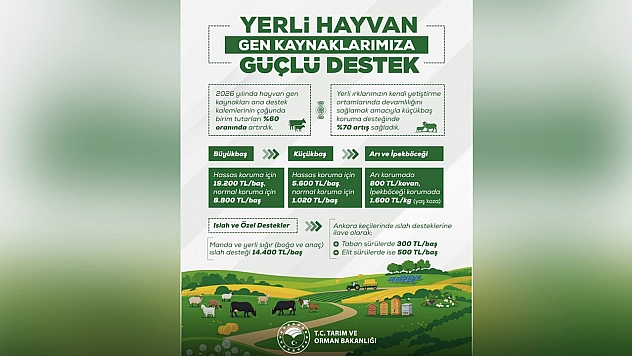 Yerli hayvan gen kaynaklarına destekler artırıldı
