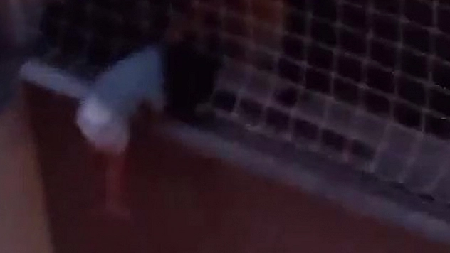 Yürekleri ağza getiren an: Balkon filesinde asılı kalan çocuğunu annesi dakikalarca tuttu