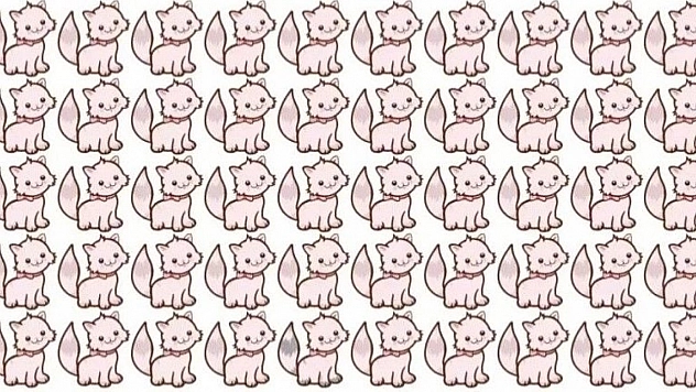 Zeka testinin bir parçası haline geldi neredeyse… Zehir gibi zekası olanlar 10 saniyede buluyor! 10 saniyede farkına varabilecek misin?