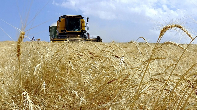 Resmi gazete'de yayımlandı: tarım alanlarında yeni kurallar