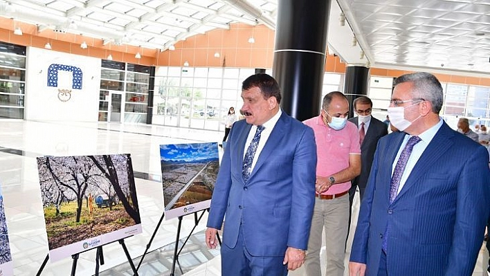 'Çekirdekten meyveye kayısı' fotoğraf sergisi açıldı