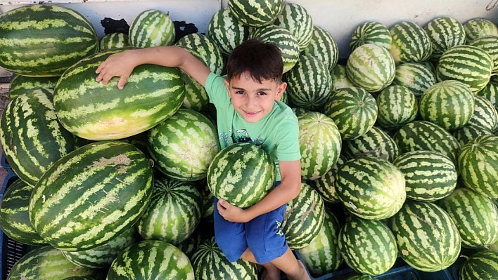 'Hıdıroz' karpuzu tezgahlardaki yerini aldı