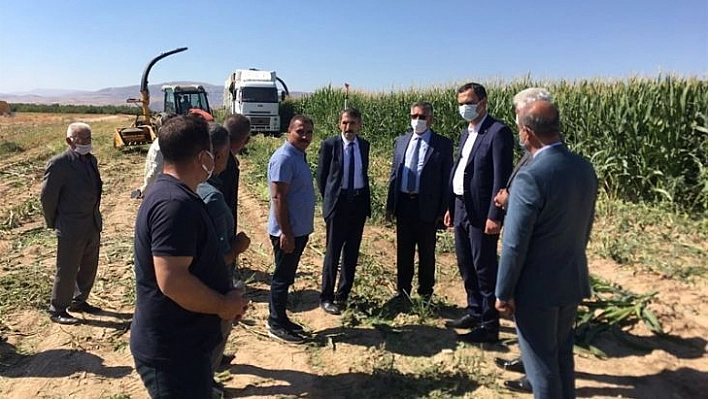 'Silajlık Mısır Hasadı Tarla Günü' etkinliği