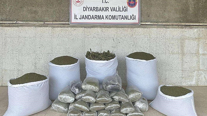 173 Kilo Esrar Ele Geçirildi