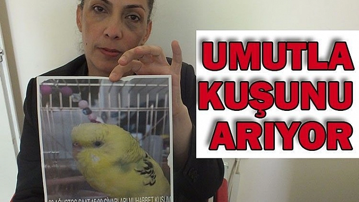 Umutla Kuşunu Arıyor… Bulana Ödül Verecek