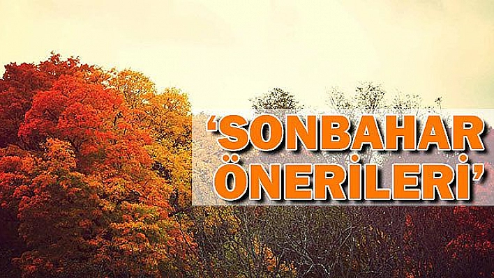 Sonbaharın Tadı Nasıl Çıkar? İşte Seçenekler…