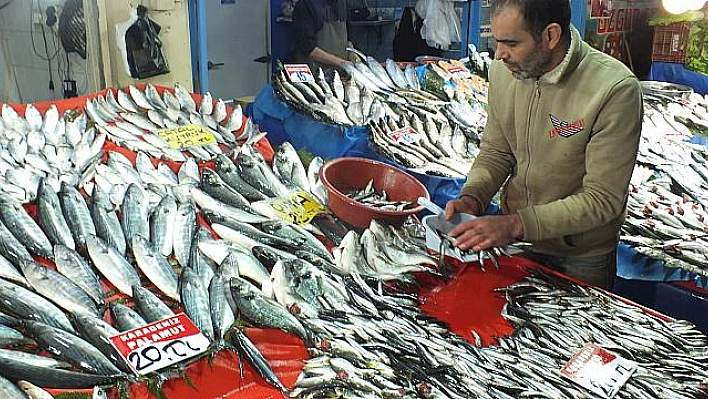 Balıkçıların Tadı Tuzu Yok ! 