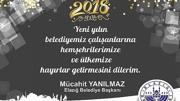 '2018 TÜRKİYE'NİN YILI OLACAK'