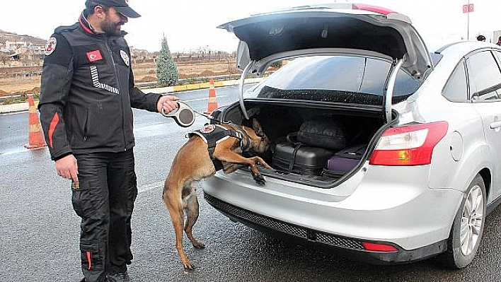 NARKO TİMLERİN EN BÜYÜK DESTEKÇİSİ NARKO KÖPEKLER