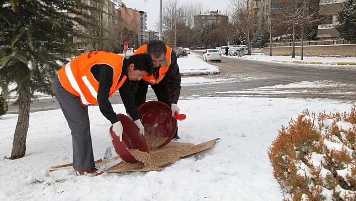 ELAZIĞ BELEDİYESİ'NDEN KUŞLARA ŞEFKAT ELİ