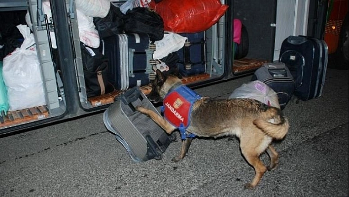 Uyuşturucu madde ele geçirildi