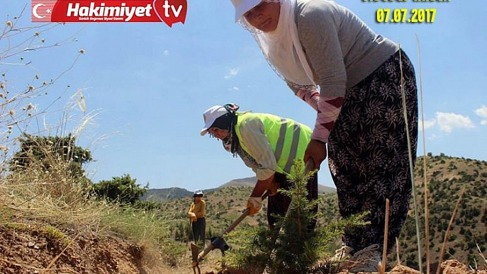 Kadınlar fidanla ev ekonomilerine destek oluyor