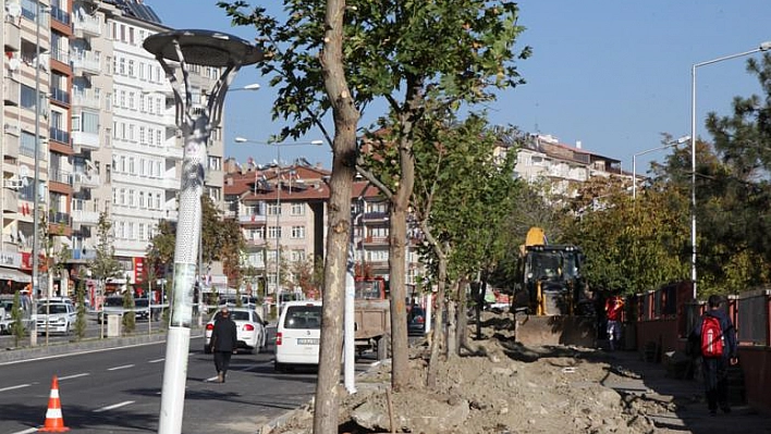 ZÜBEYDE HANIM CADDESİ AĞAÇLANDIRILIYOR