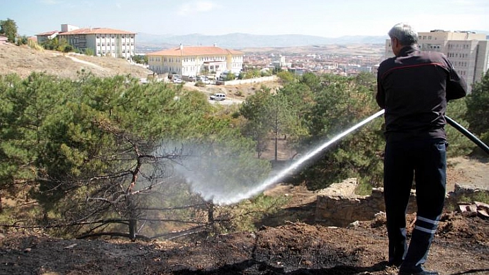 ELAZIĞ'DA BAHÇE YANGINI