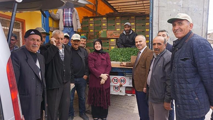 MALATYA BÖLGE BİRLİĞİNDE FİDE DAĞITIMI