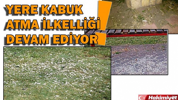 Bu İlkelliğin Bir Cezası Olmalı!!!