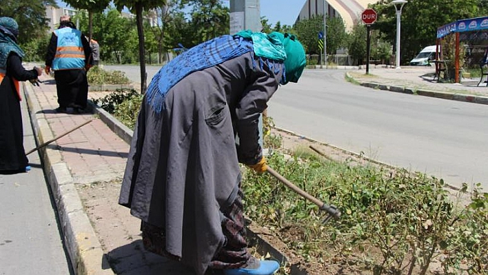 Elazığ, Kadın Eliyle Yeşilleniyor