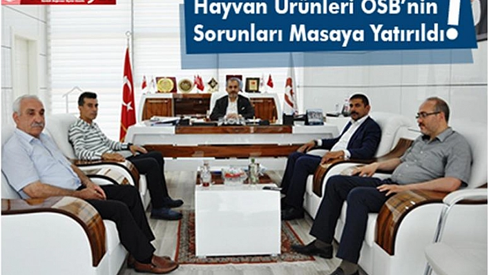 Hayvan Ürünleri Önemli Bir Değerdir