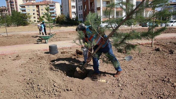 ATAŞEHİR MAHALLESİ'NDE AĞAÇ DİKİMİ GERÇEKLEŞTİRİLDİ