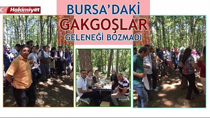 Bursa'daki Elazığlılar Peynirli Ekmek Pikniğinde Biraraya Geldi