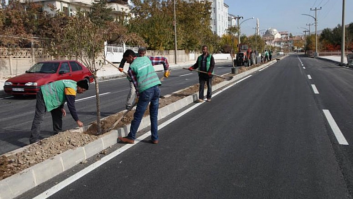 BULVAR VE CADDELER AĞAÇLANDIRILIYOR