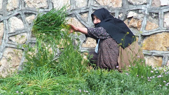 BAHARIN GELMESİ HAYVANCILIKLA GEÇİNENLERE YARADI