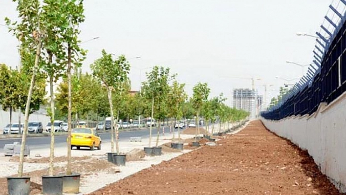 ELAZIĞ CADDESİN'DE BİR KADIN SIRTINDAN VURULARAK, ÖLDÜRÜLDÜ!