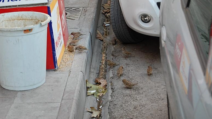 ELAZIĞ'DAN DÜNYAYA İNSANLIK DERSİ